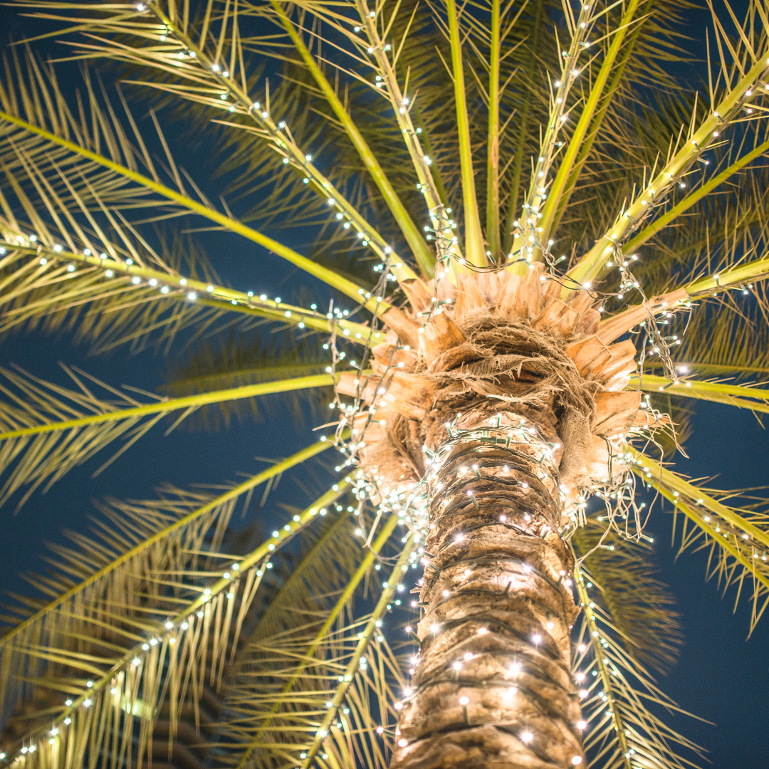 Coastal Christmas 16oz Candle