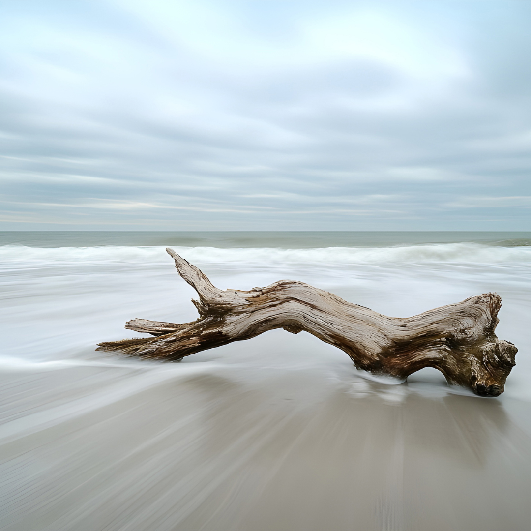 Coastal Hippie 14oz Candle AVAILABLE 3/16