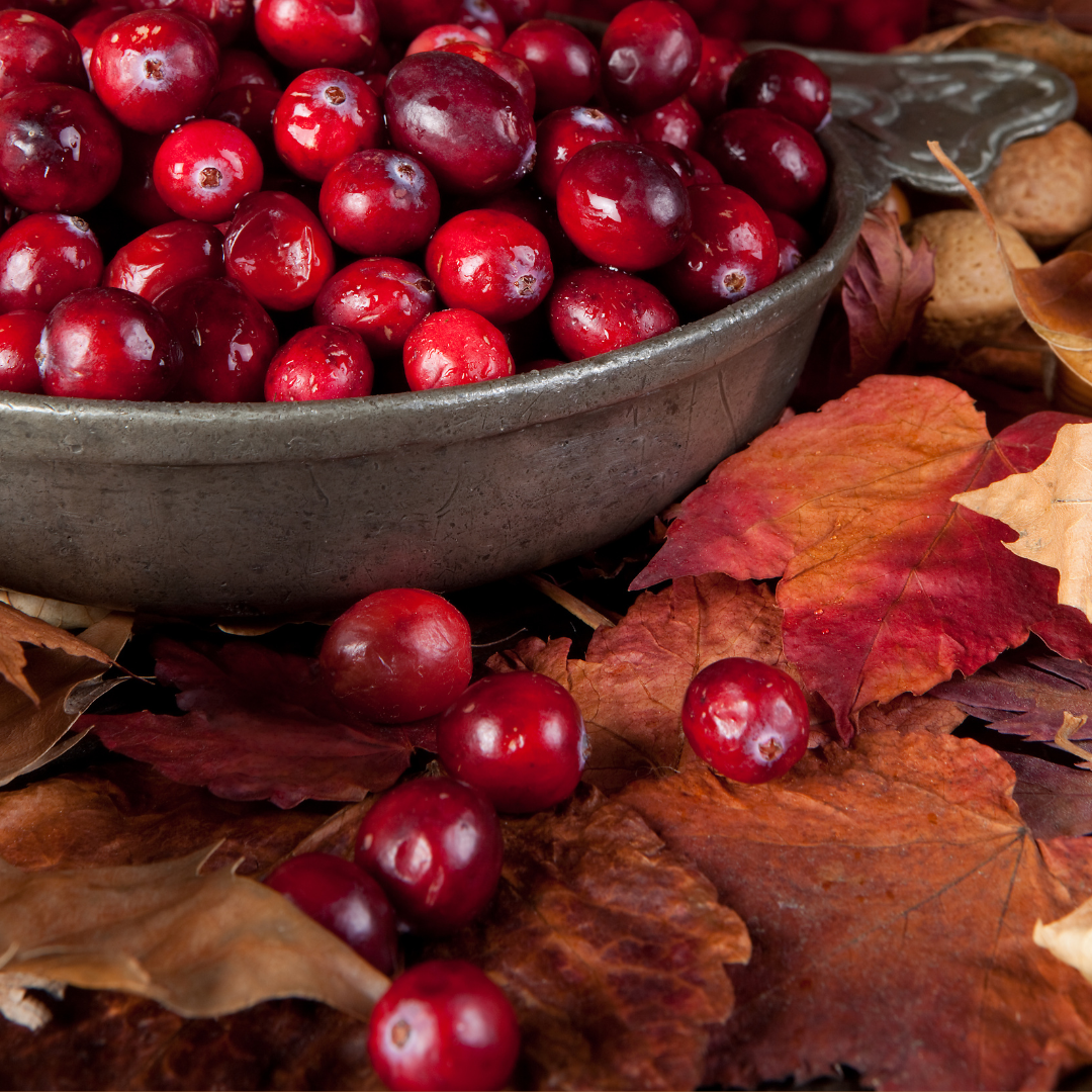 Cranberry Leaves 3-wick Candle