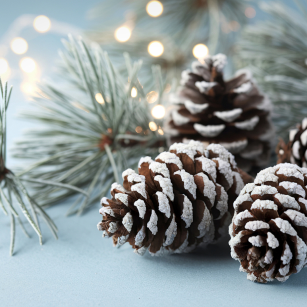 Frosted Pine . Christmas Tree Candle