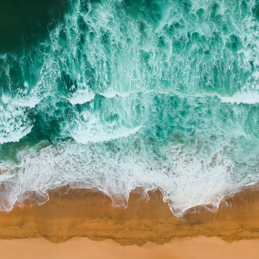 Sea Salt + Citrus 14oz Candle AVAILABLE 3/16